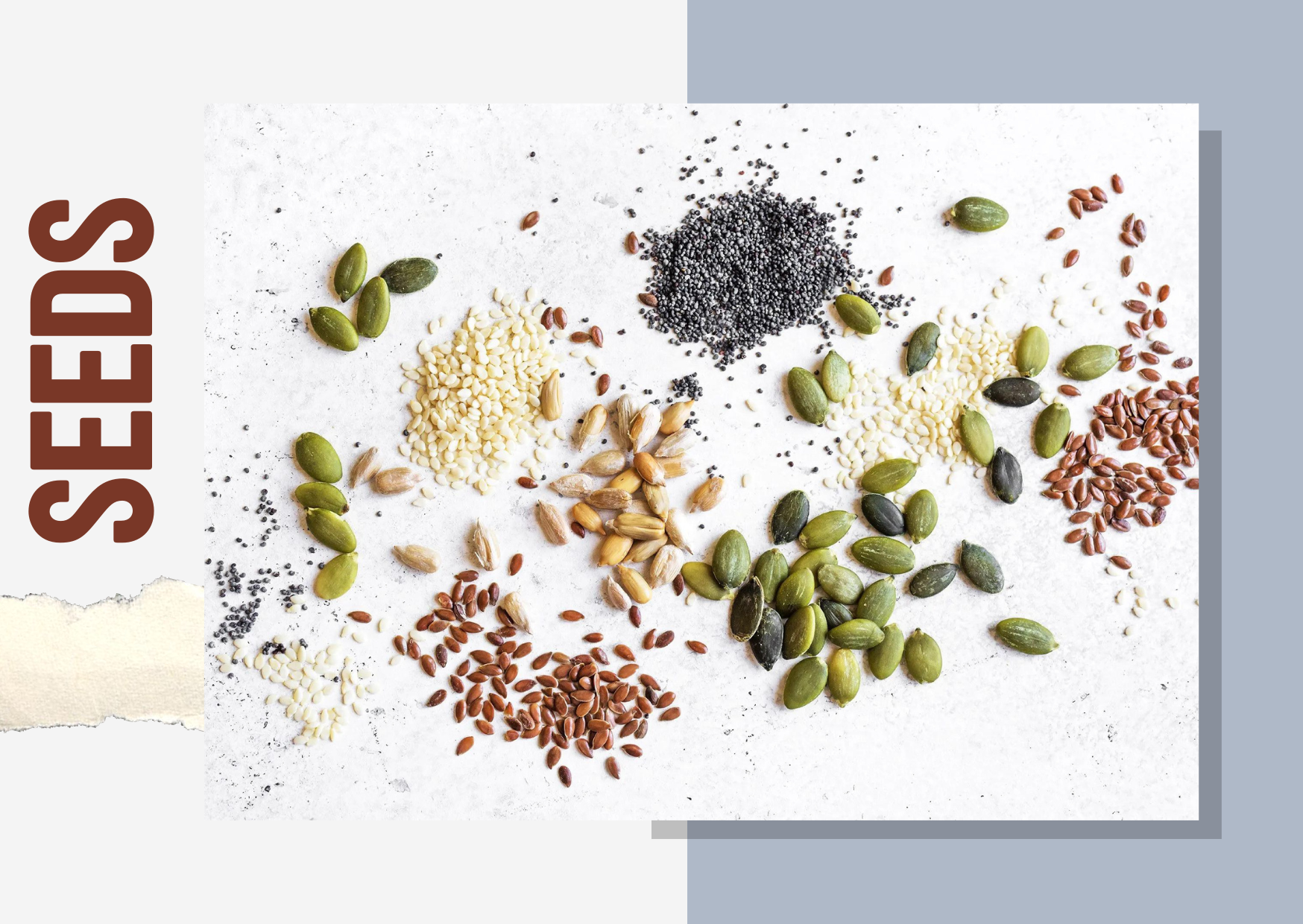 Seeds