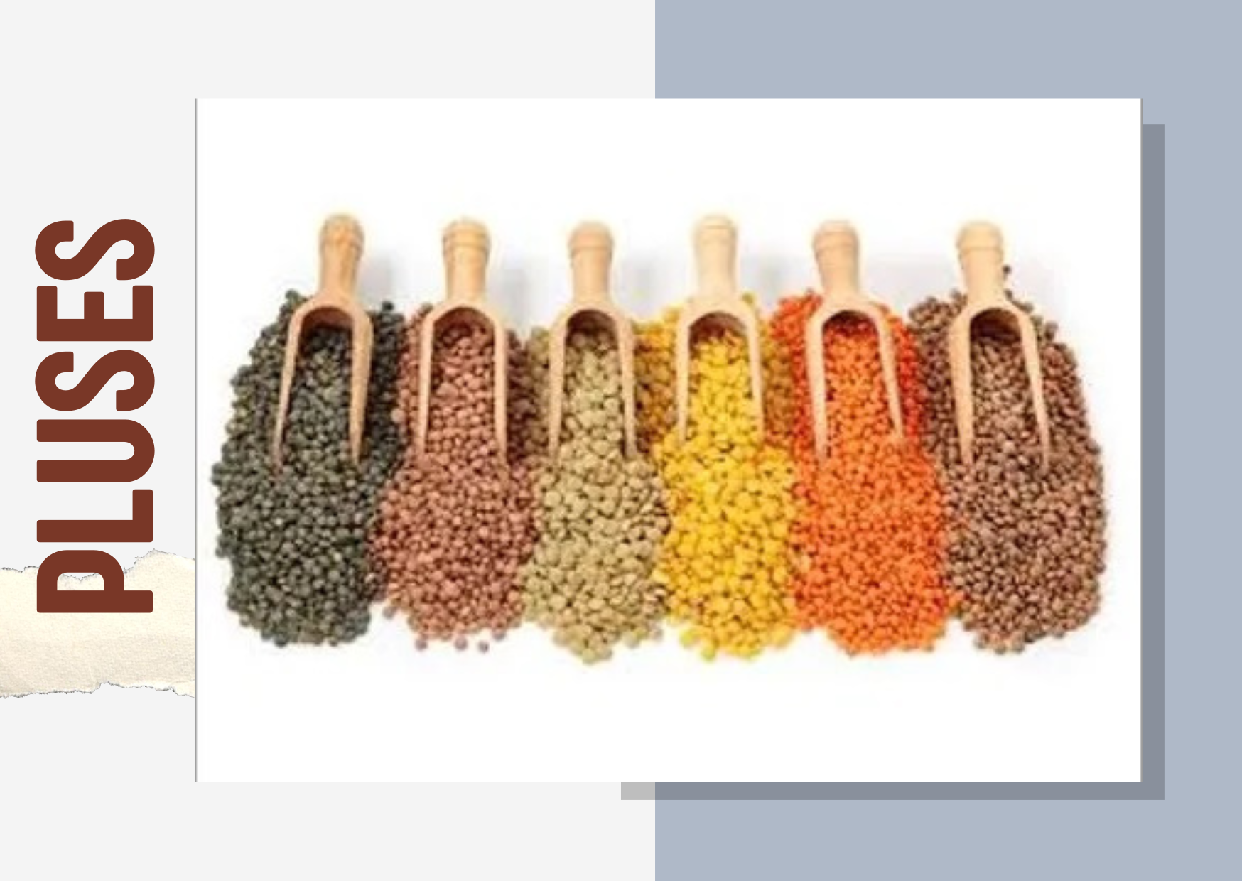 Pulses